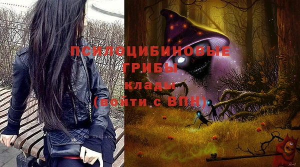 соль ск Аркадак